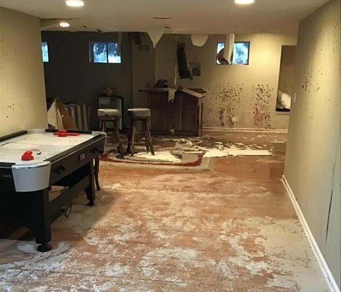 Finished basement damaged by water and mold