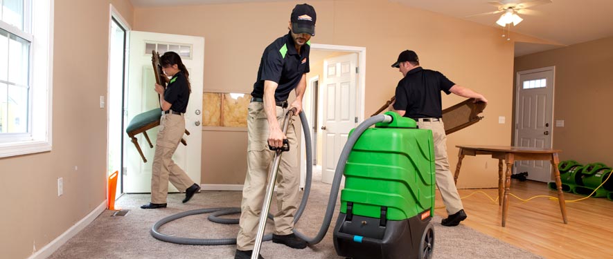 Glenview, IL cleaning services